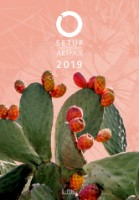 Simona Gavioli - Setup contemporary art fair 2019