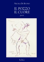 Nicola De Buono - Il pozzo nel cuore